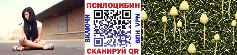 Галлюциногенные грибы мицелий  mega ссылки  Зеленодольск 